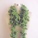 free ship GREEN Pom Pom Cheerleader Knit Scarf Green Long Scarf, mother Neckwarmer, Cowl, Necktie - Cocoon,, Pompom Yarn - Gift for collar