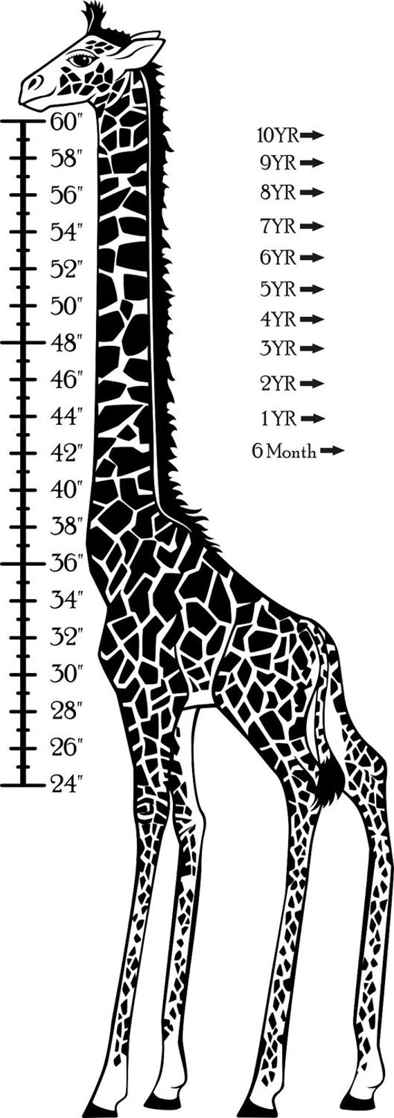 Large Giraffe Growth Chart Kids Wall Height Chart