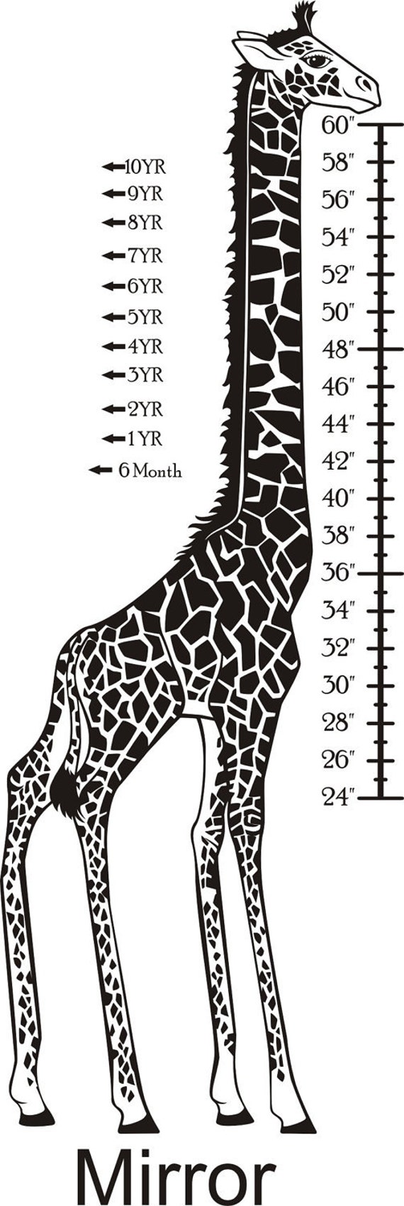 Размер жирафа. Рост жирафа. Жираф высота. Размер жирафа в метрах. На рисунке изображен жираф