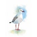 Seagull Painting - ORIGINAL watercolor painting