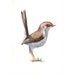 Wren painting - ORIGINAL watercolor painting