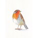 Robin painting - ORIGINAL watercolor painting