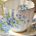 Vintage Royal Prince Tea Cup and Saucer, Blue, Scalloped, Floral, England