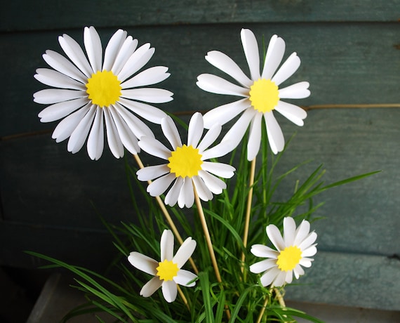 Daisy Paper Flowers Spring BlossomsBirthday Gift by PaperAltar