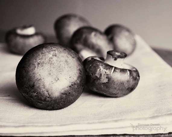  Food Photography Black and White Still Life Mushroom Photo 