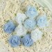 Champagne Rose collection Chardonnay 546854 - shades of blue