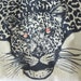 FIERCE Zipper Pouch Sequined eyed Leopard KENYA