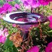 14K gold, Plum stained glass, HUMMINGBIRD FEEDER, copper, purple, red-violet, Garden Art