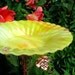 Stained Glass BIRD BATH, Yellow Orange, copper, 10 in. diameter