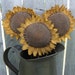 Primitive Sunflower Pokes