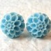 Delicate blue chrysantheme