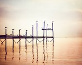 Fine Art Photography - birds peach beach photography seagulls prints seashore pier brown cream pale ocean, 11x14, 8x10 Photograph, "Lookout"