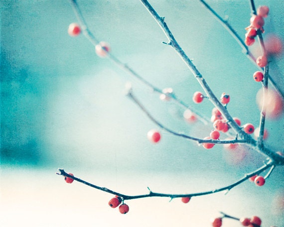 Winter Photography, blue red white christmas holiday decor nature berries branch berry branches print photograph, "I Wonder as I Wander"