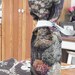 WINE BOTTLE Gift Bags or cozies Gift Giving Made Easy SET of 3 Eco Friendly Enviromently Chic Hostess Gift