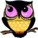 nightowl0v0