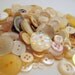 Button Lot Pearlized/Clear/Cream Vintage 3.5 oz