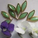 Vintage Glass Pistachio Green Leaf