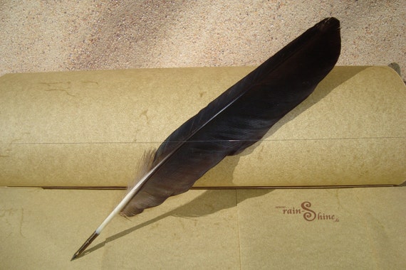 How to use crow quill pen picture