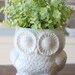 handmade modern - vintage owl planters (medium size)