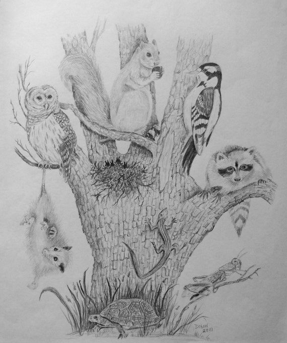 Nature Pencil Drawing Tree of Life with a by DixonArtsCrafts