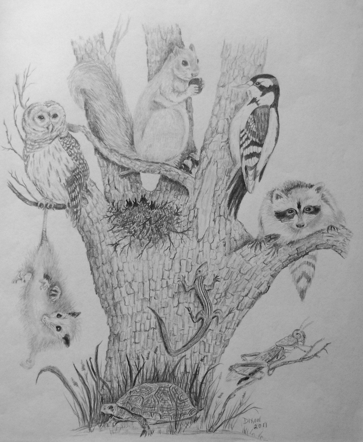 Galleries Related Beautiful Nature Pencil Drawings Easy Nature