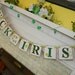 St Patricks Day Decorations LUCK of the IRISH Banner Holiday Garland St Pattys Day Decor Photo Prop