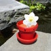 3" Planter - Ruby Halo
