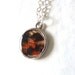 Real butterfly wing pendant, hand raised from baby caterpillar