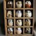 Set of 12 vintage ceramic owls in a display case