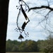 Clear Beveled Sun Catcher Contemporary Crystal Pendent