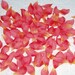 200 Silk Rose Petals Coral Orange Wedding Flower Decorations Party Decorations Bridal