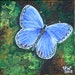 Mini Butterfly Painting - Eastern Tailed Blue Butterfly - acrylic on canvas mini painting