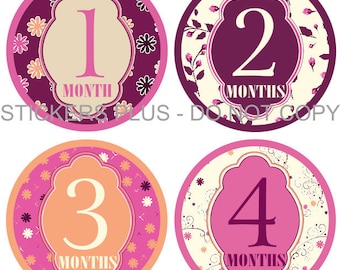 Baby Month Stickers Girl Monthly Milestone Stickers Elegant Flowers Plum Pink Peach - Fast Ship - 1-12 M