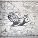 X-LARGE - CAPRICORN constellation. Twinkle Curtain. Best Kids Product of 2011. Toddler nap curtain. Size: up to 54"x76" (sizes-54" or 44")