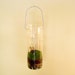 Modern Hanging Tea light Candle Glass Moss Terrarium