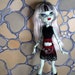 Skirt and Top for Monster High
