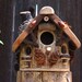 Rustic Cedar Bird House