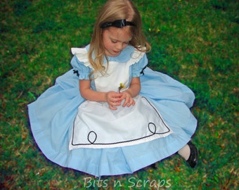 Alice In Wonderland costume dress