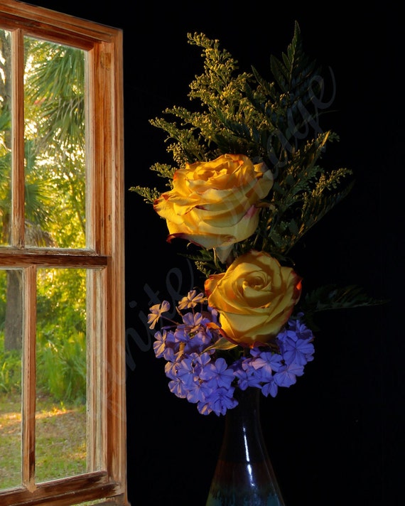 16x20 Window Lit Flowers.