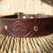 Custom Listing for Emily. 1" Size Small. Cocoa Leather Dog Collar without rivets. Small Silver Buckle.