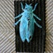 June Bug Brooch