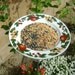 Plate BIRD FEEDER, Apples and Flowers- Recycled. Use with Bread, Nuts, Bagels, Fruit, Wild Bird Seed Mix. Ready to Ship