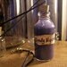 Deadly Nightshade - The Nightmare Before Christmas Vial Necklace - Murky Purple Poison