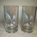 Eagle Rare Whiskey Recycled Bottle Glasses - Set of 4