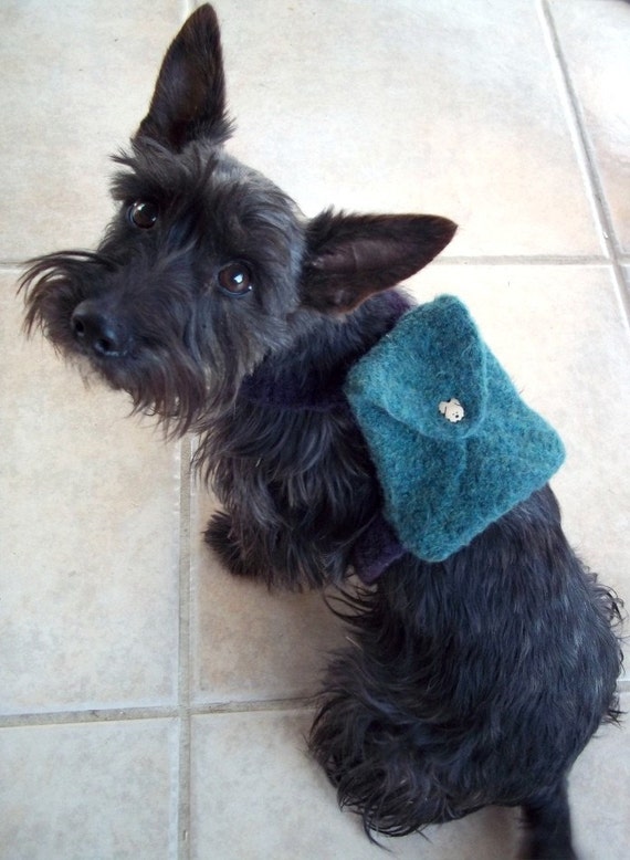 Items similar to Small Dog Backpack on Etsy