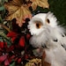 Funky Owl Wreath and Beautiful Flowers