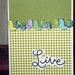 Birds Greeting Card 20120007