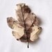 Fabric leaf brooch printed with photograph 'Dancers'