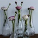 Set of 5 clear glass vases