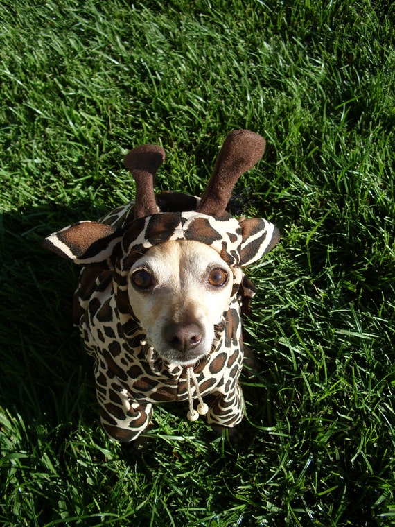 Items similar to Giraffe Dog Pet Costume ALL SIZES AVAILABLE on Etsy